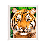 Картина по номерам Арт Узор Тигр с красками