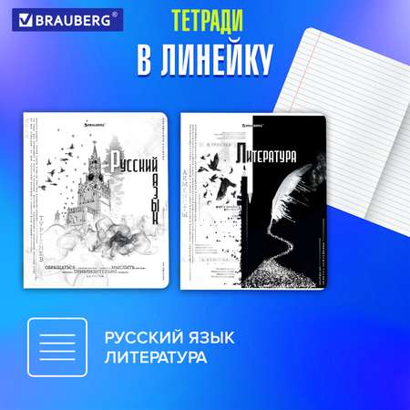 Тетради предметные Brauberg набор 48 листов в клетку и линейку 12 штук