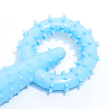 Игрушка Пижон для собак «Мотор» TPR массажная 16х5.8 см голубая