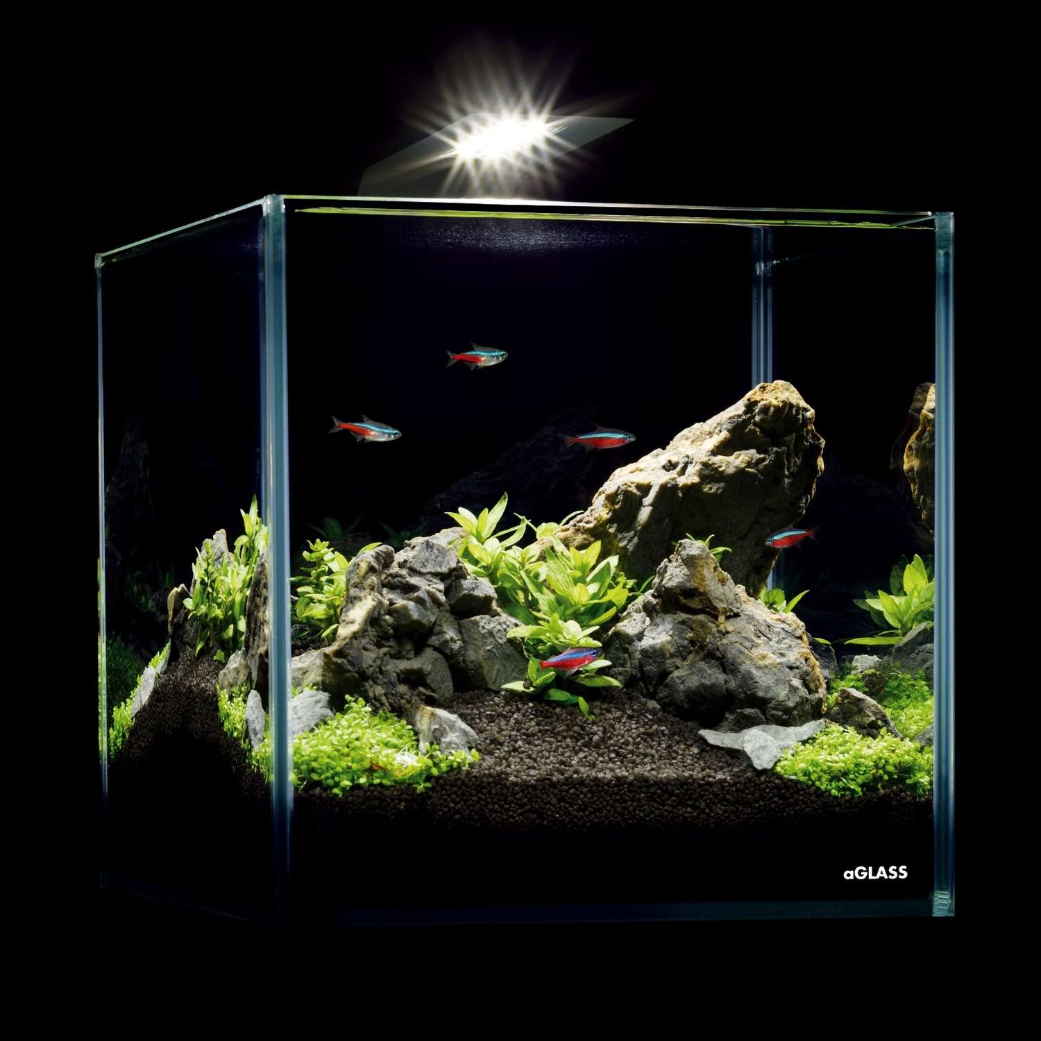 Набор аквариумный AquaLighter Nano Soft 10л - фото 4