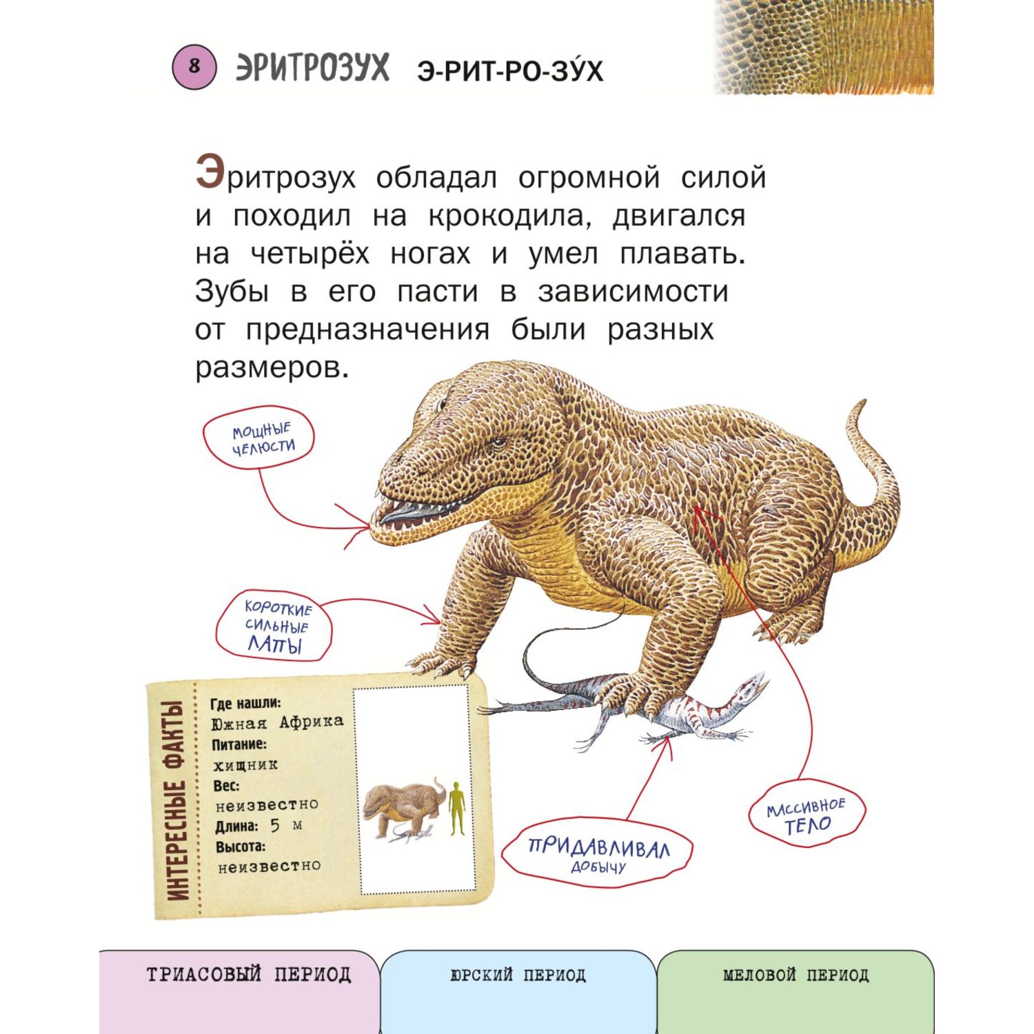 Книга Эксмо Все хищные динозавры с крупными буквами - фото 5