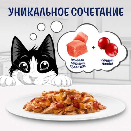 Корм для кошек Felix Sensations Супер Вкус индейка-ягоды 75г