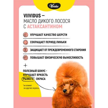 Масло дикого лосося Вивидус (VIVIDUS) с астаксантином 0,5 л.