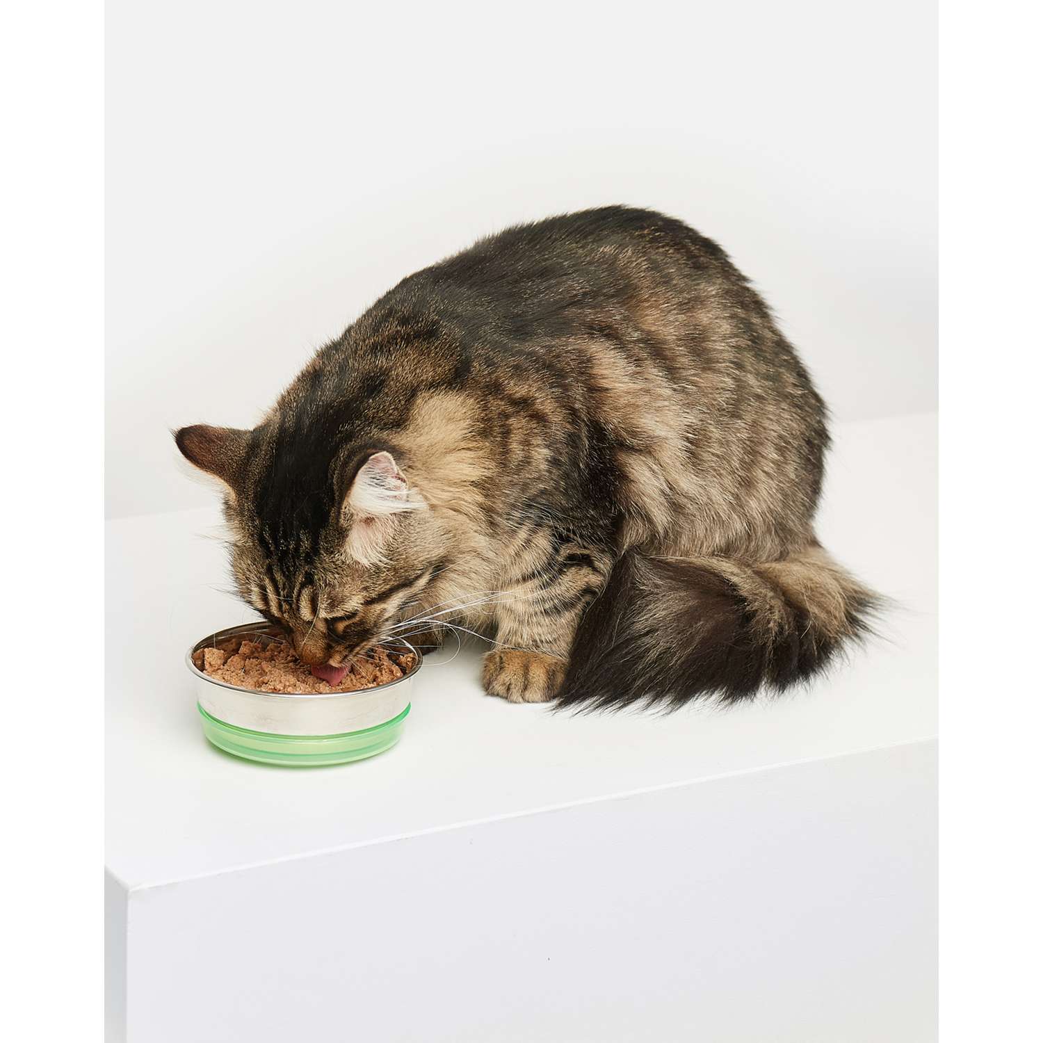 Корм для кошек Carnica 100г паштет из ягненка для здоровья мочевыделительной системы консервированный - фото 5