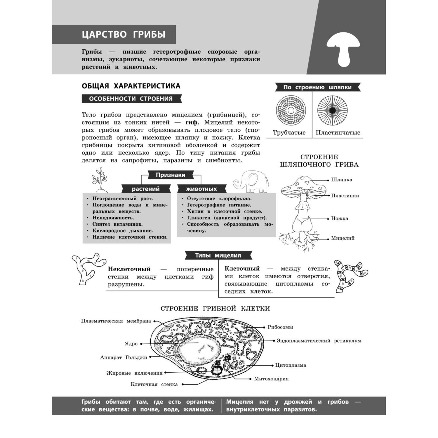 Книга Эксмо Биология в инфографике - фото 7