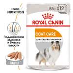 Корм для собак ROYAL CANIN Coat Care с тусклой или сухой шерстью паштет пауч 85г