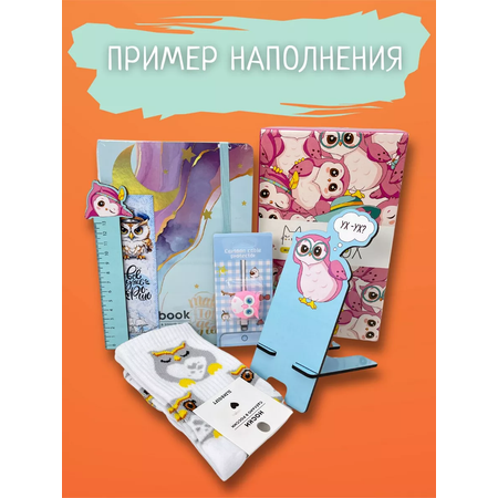 Подарочный бокс для девочки iLikeGift Milota Box mini сова