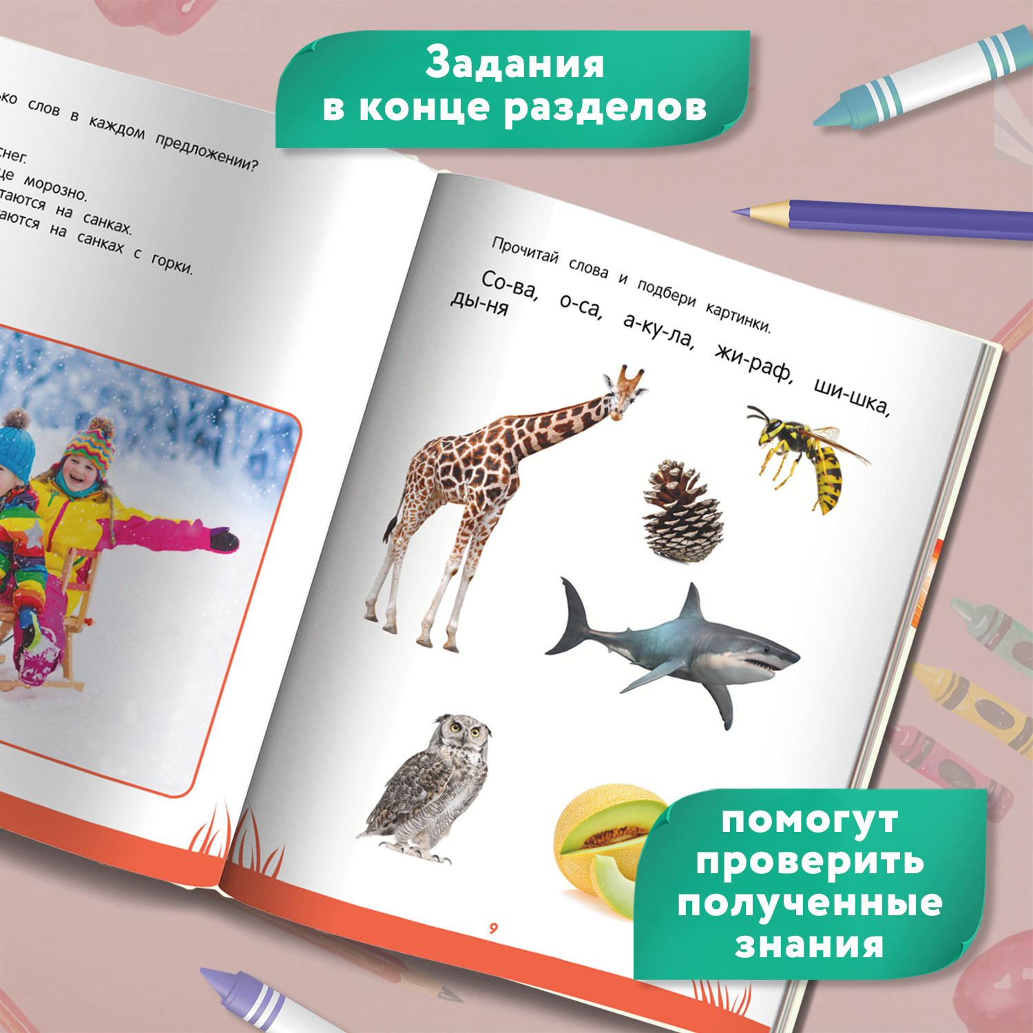 Книга Феникс Первая книга знаний Энциклопедия дошкольника 6-7 лет - фото 6