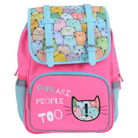 Рюкзак Proff школьный Cats