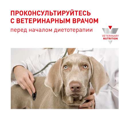 Корм для собак ROYAL CANIN Neutered Adult кастрированных средних пород 3.5кг