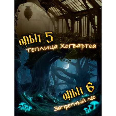 Набор для опытов Harry Potter