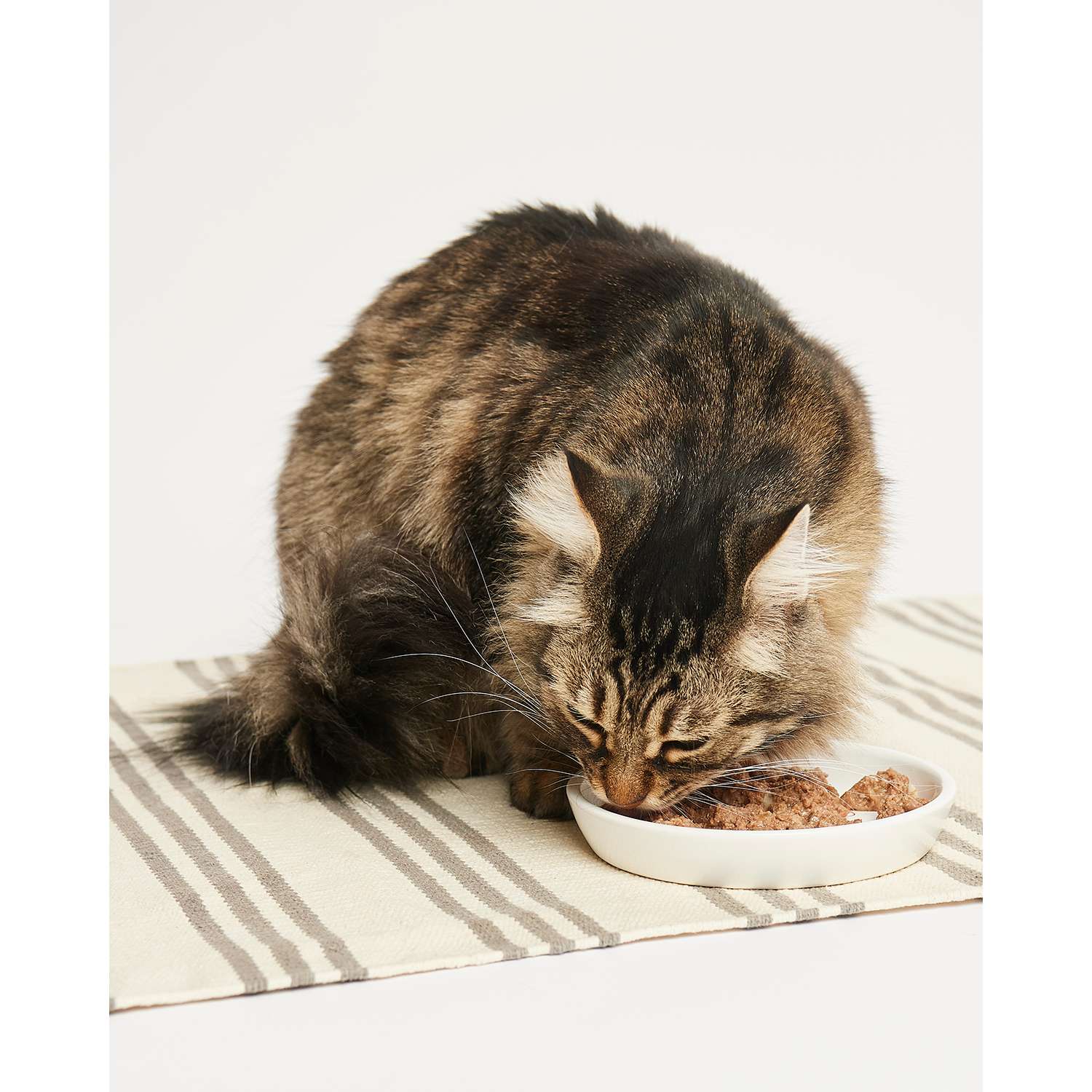 Корм для кошек Harty 100г паштет с уткой и перепелкой для взрослых консервированный - фото 3
