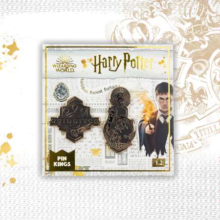 Набор значков Harry Potter Гарри Поттер 2 шт - Квиддич и Живоглот