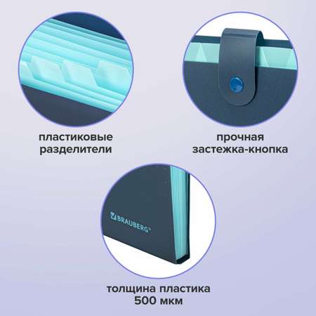 Папка-органайзер Brauberg А4
