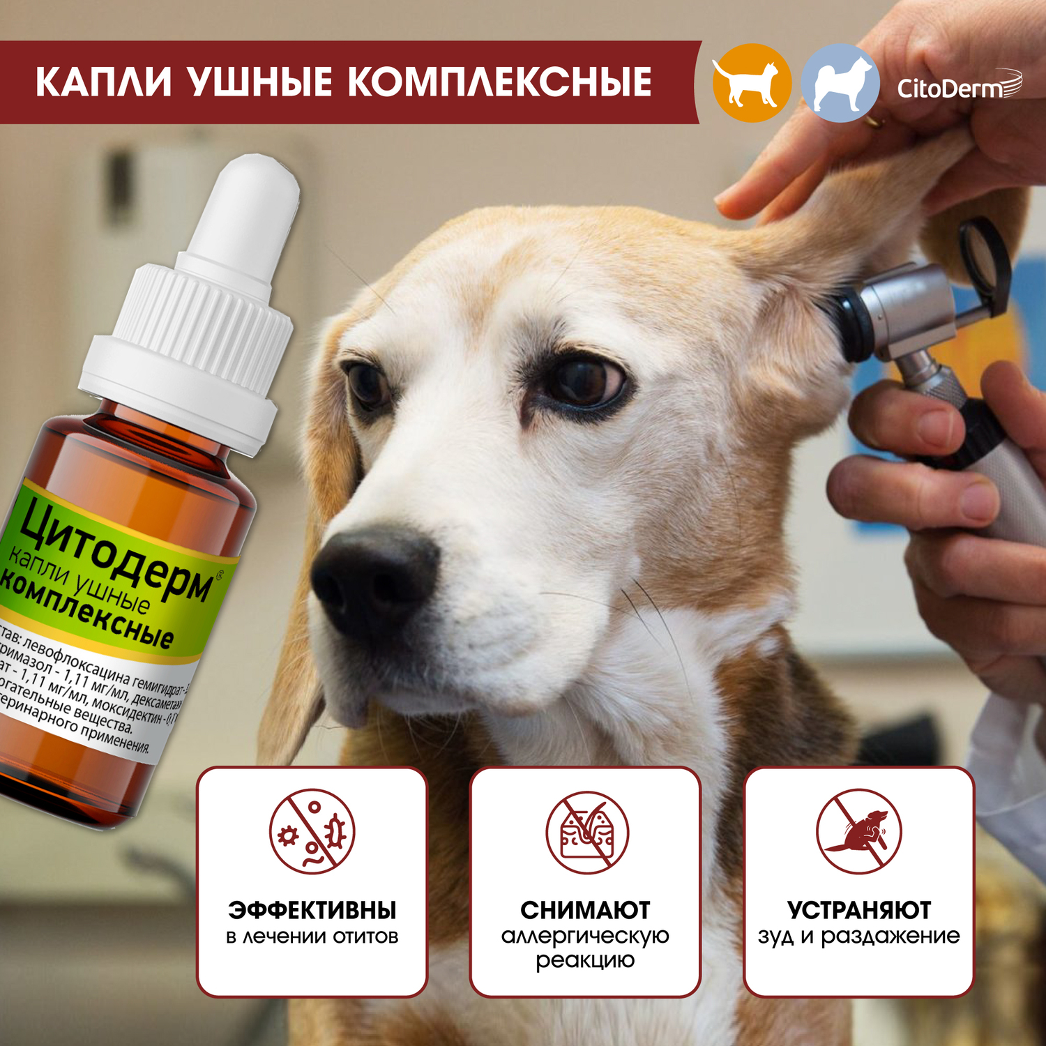 Капли ушные для животных CitoDerm комплексные 10мл купить по цене 663 ₽ с  доставкой в Москве и России, отзывы, фото