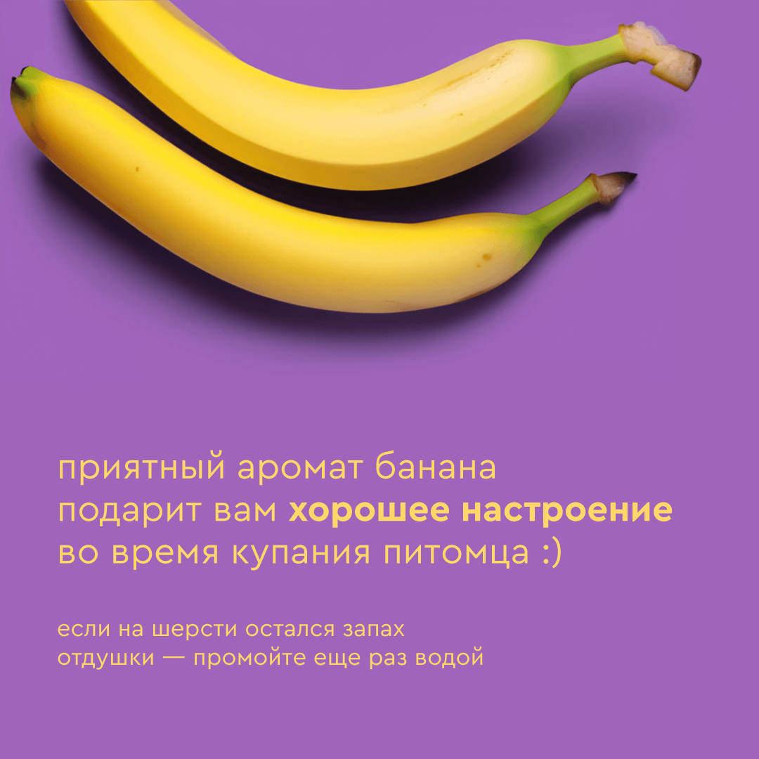 Шампунь с ароматом банана Pamilee универсальный домашний увлажняющий для собак - фото 4