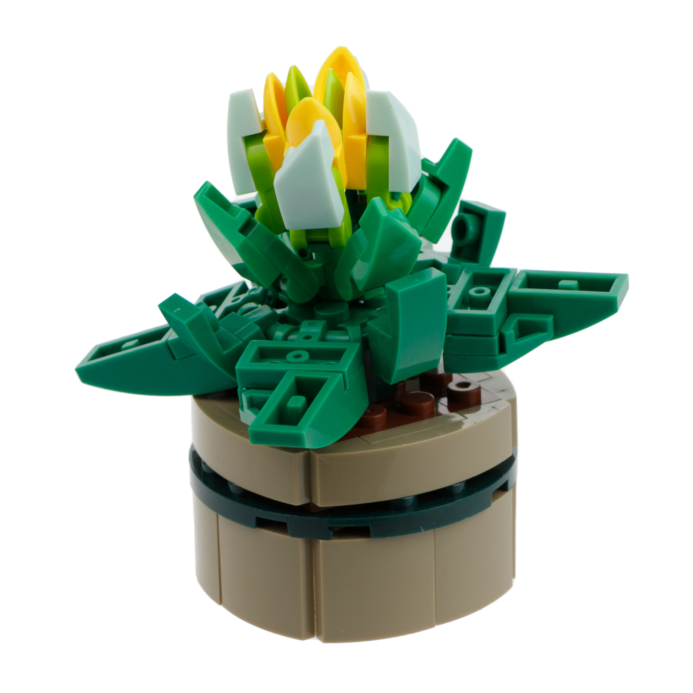Игрушка- сюрприз Blockformers 1Toy конструктор Цветы пустыни в коробке - фото 56