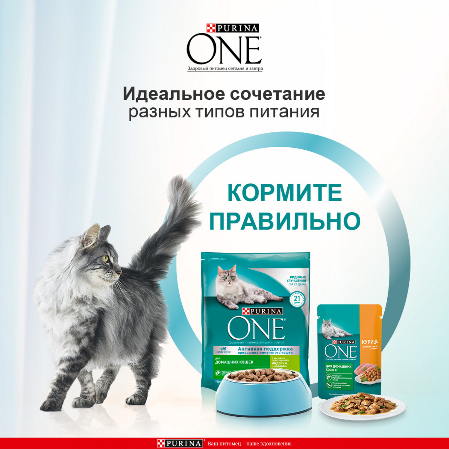 Сухой корм для кошек Purina One 0.75 кг индейка (для домашних, полнорационный) - фото 5