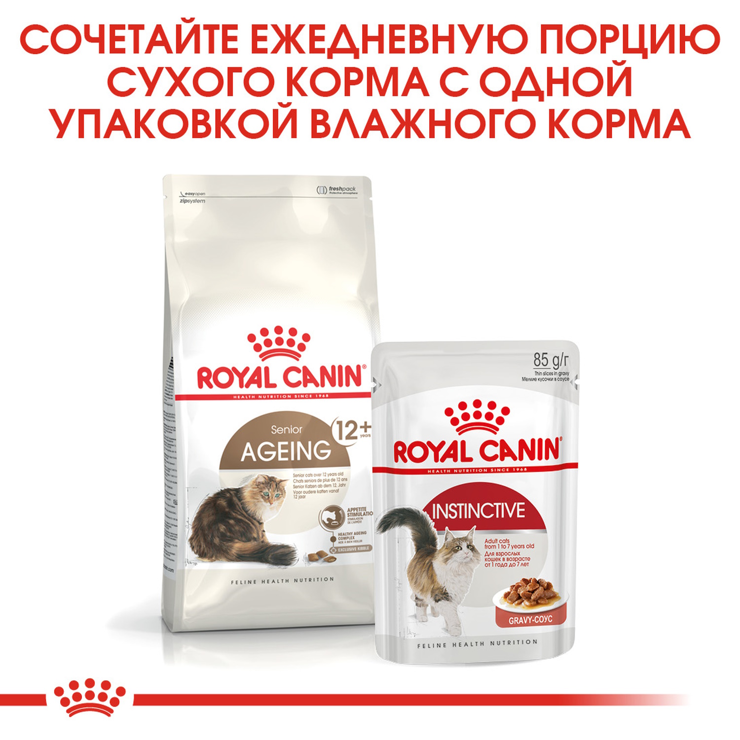 Корм сухой для пожилых кошек ROYAL CANIN Ageing 4кг - фото 8