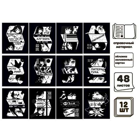 Комплект предметных тетрадей Calligrata 48 листов«Комикс Аниме»