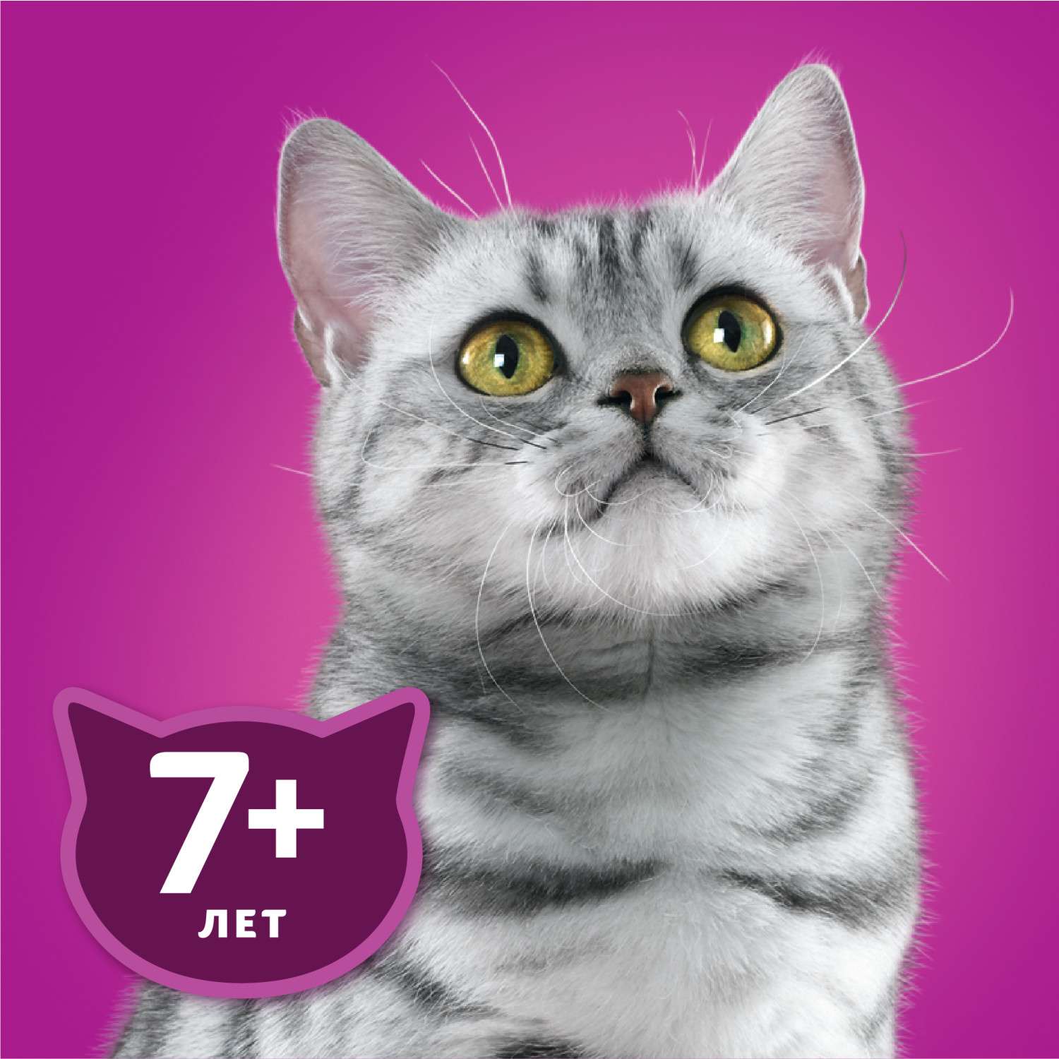 Корм для взрослых кошек Whiskas старше 7лет рагу с курицей 75г купить по  цене 24.7 ₽ с доставкой в Москве и России, отзывы, фото