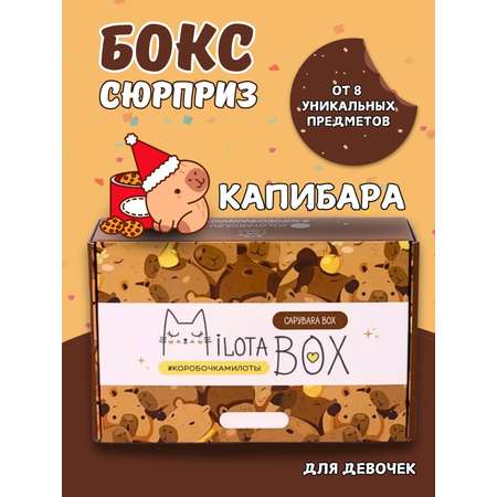 Подарочный бокс для девочки iLikeGift капибара