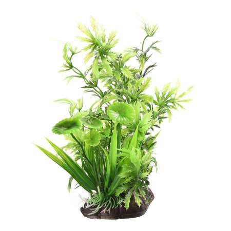 Растение для аквариума FAUNA Композиция-66 FIAD-1312