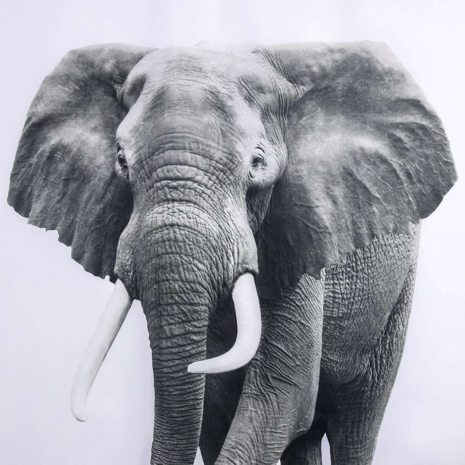 Штора для ванны Доляна «Слон» 180×180 см полиэстер - фото 2