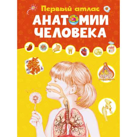 Книга Махаон Первый атлас анатомии человека Барсотти Э. Энциклопедии