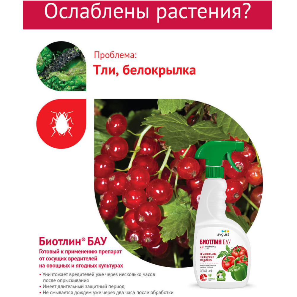 Средство от тли AVGUST Биотлин БАУ ВР спрей 700мл купить по цене 399 ₽ в  интернет-магазине Детский мир