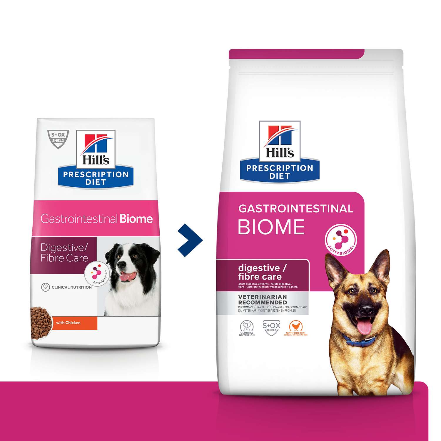 Dog food for store gastrointestinal