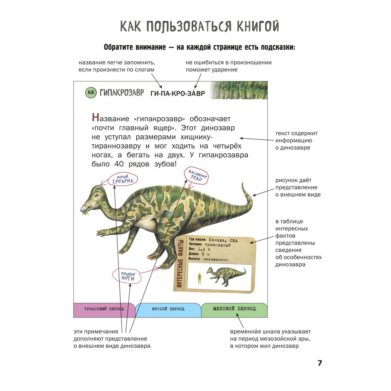 Книга Эксмо Все травоядные динозавры с крупными буквами - фото 4