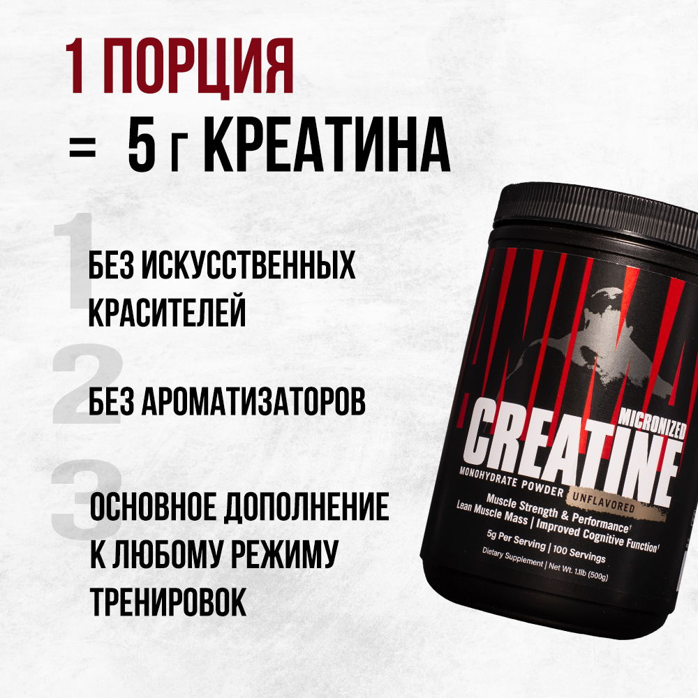 Креатин Animal Creatine Powder 500 г - фото 3