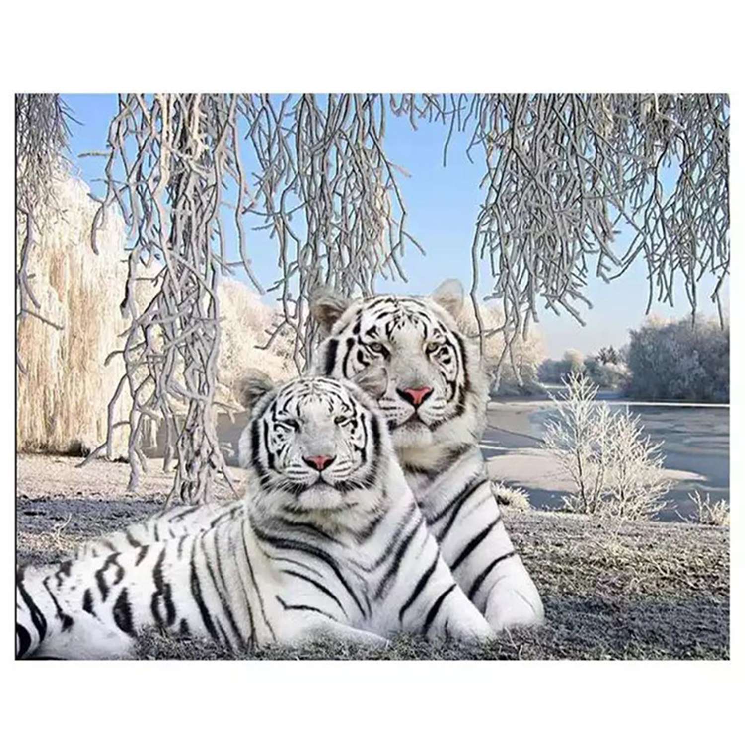 Алмазная мозаика на холсте Solmax Пара белых тигров 30x40 см CP54067 - фото 1