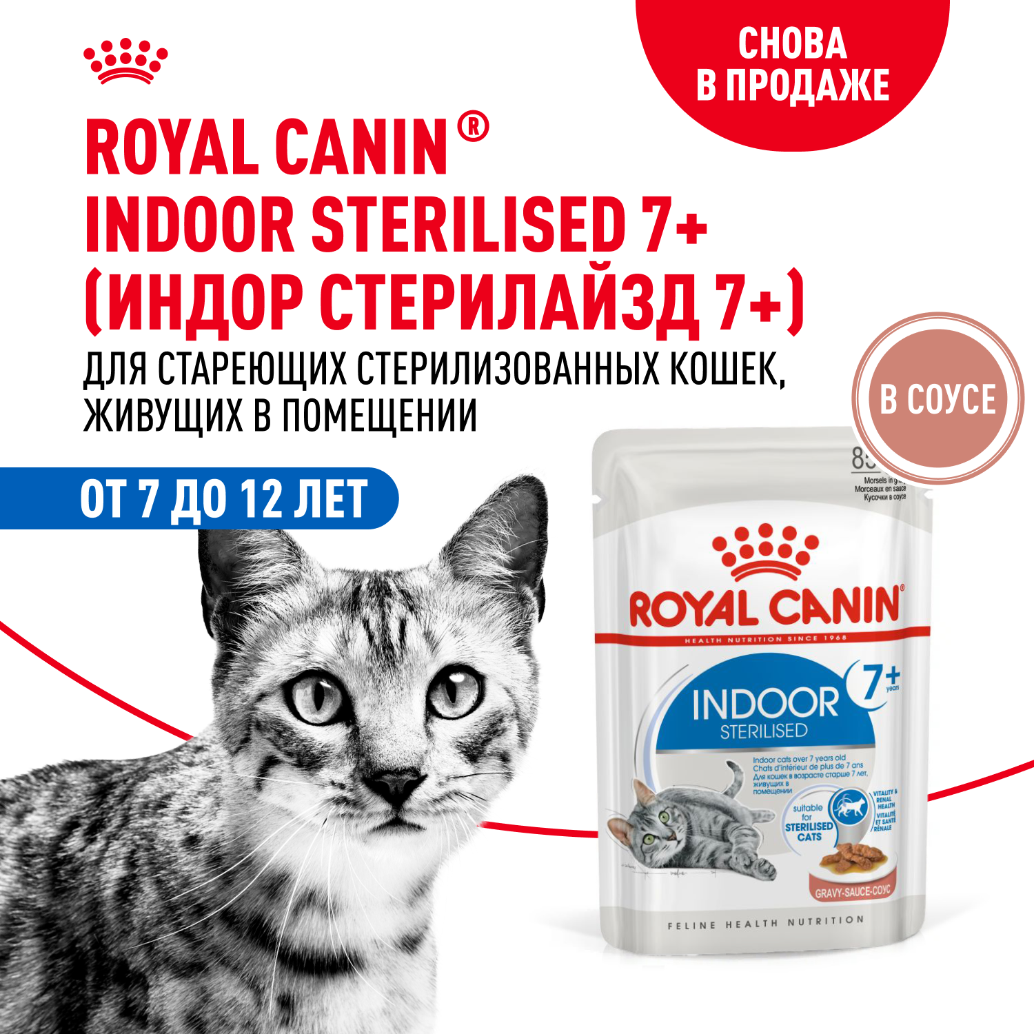 Корм для кошек ROYAL CANIN Indoor 85г для пожилых стерилизованных кошек 7+ соус пауч - фото 1