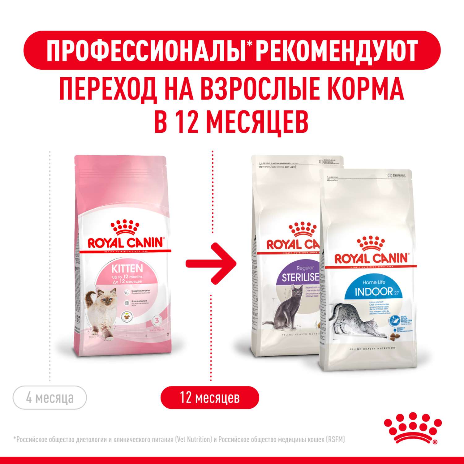 Корм сухой для котят ROYAL CANIN Kitten 300г - фото 10