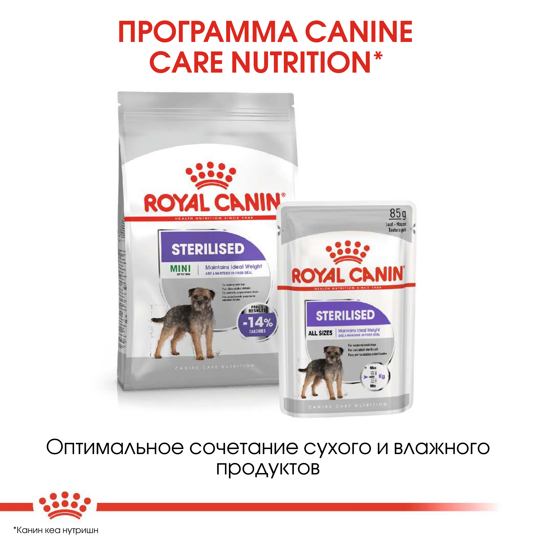 Корм для собак ROYAL CANIN Mini Sterilised стерилизованных 3кг - фото 6