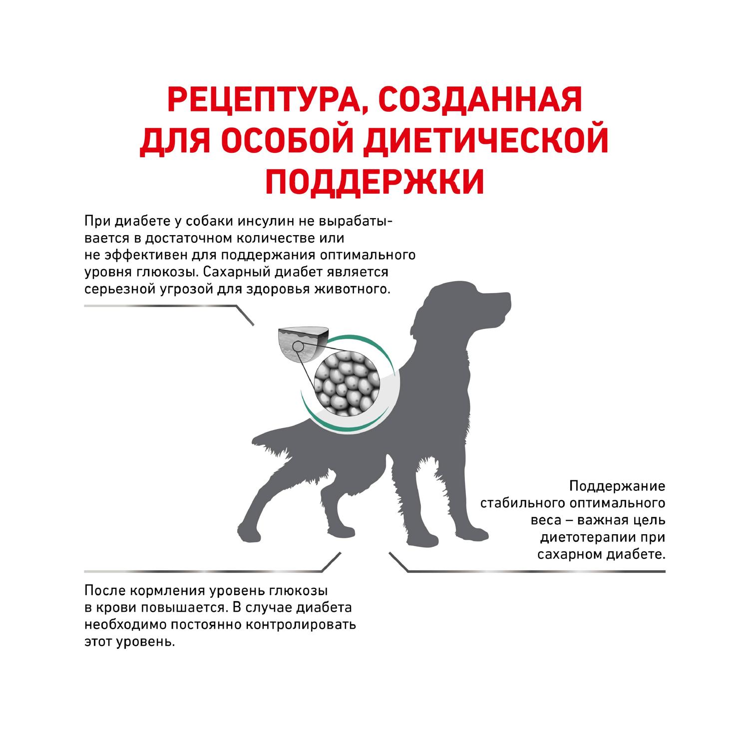 Корм для собак ROYAL CANIN Diabetic DS37 при сахарном диабете 12кг