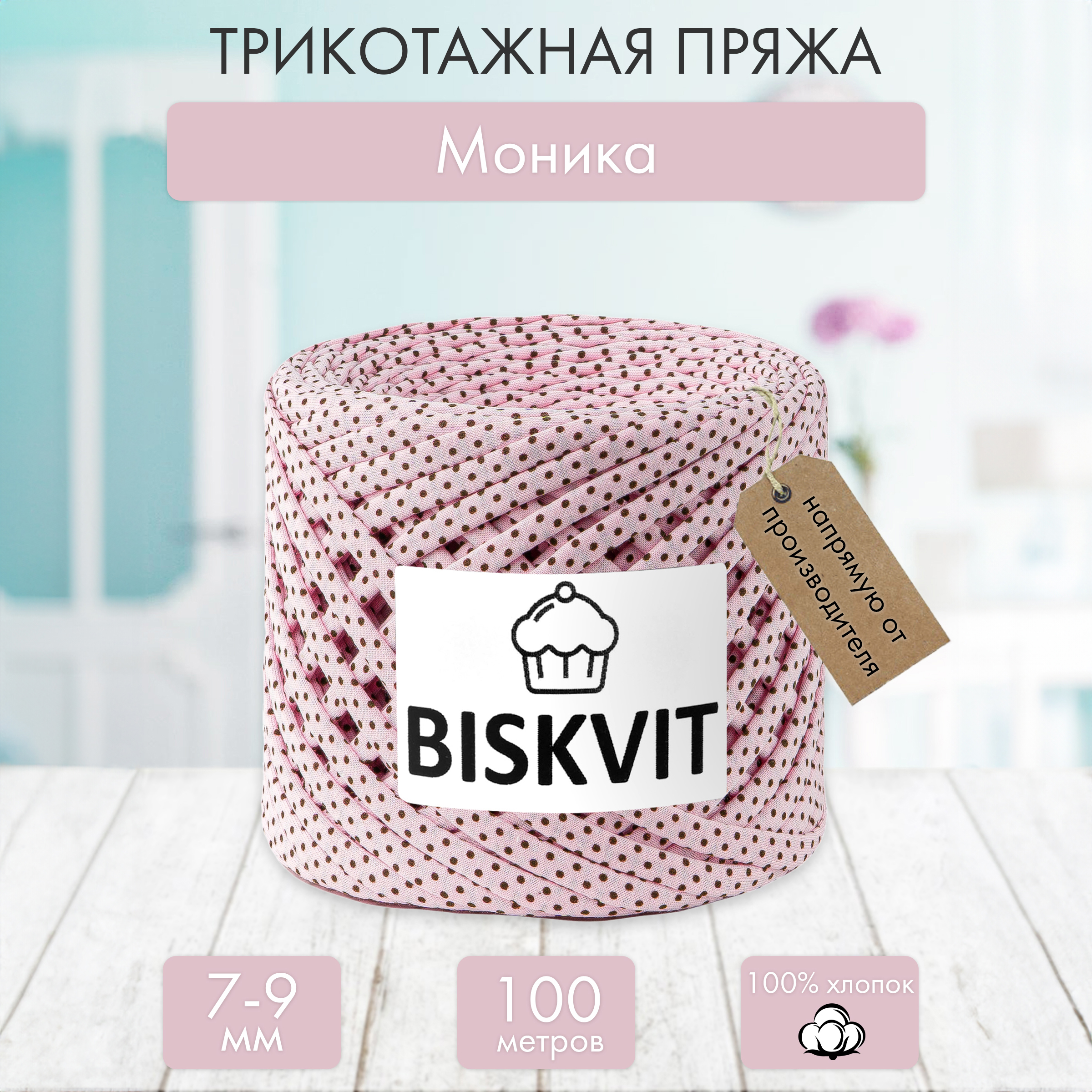 Трикотажная пряжа BISKVIT Моника - фото 1