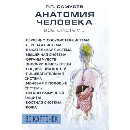 Книги АСТ Анатомия человека. 80 карточек. все системы