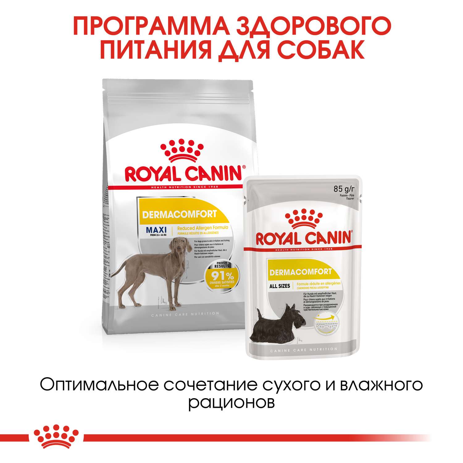 Корм для собак ROYAL CANIN Maxi Dermacomfort крупных пород склонных к кожным раздражениям и зуду 10кг - фото 7