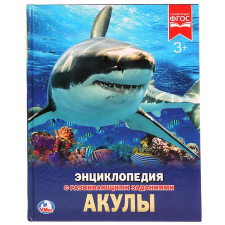 Энциклопедия Умка Акулы 258012