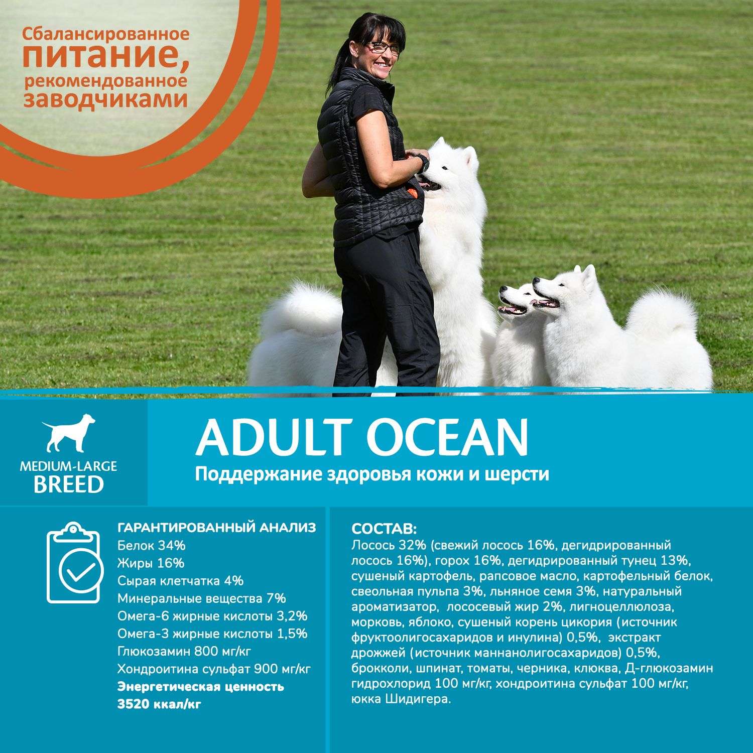 Корм для взрослых собак Wellness CORE 1.8кг лосось-тунец для средних и крупных - фото 6