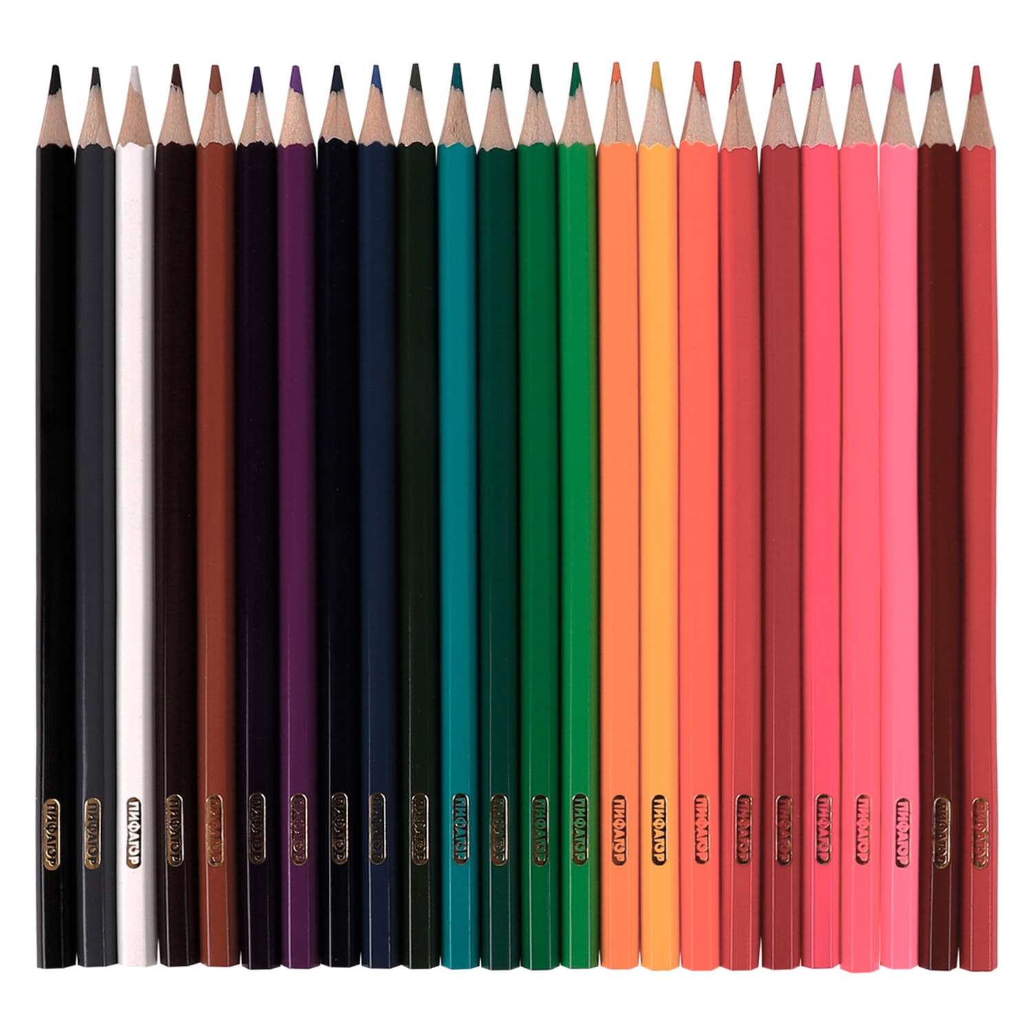 Карандаши цветные Пифагор Акула 24 цвета заточенные деревянные - фото 2