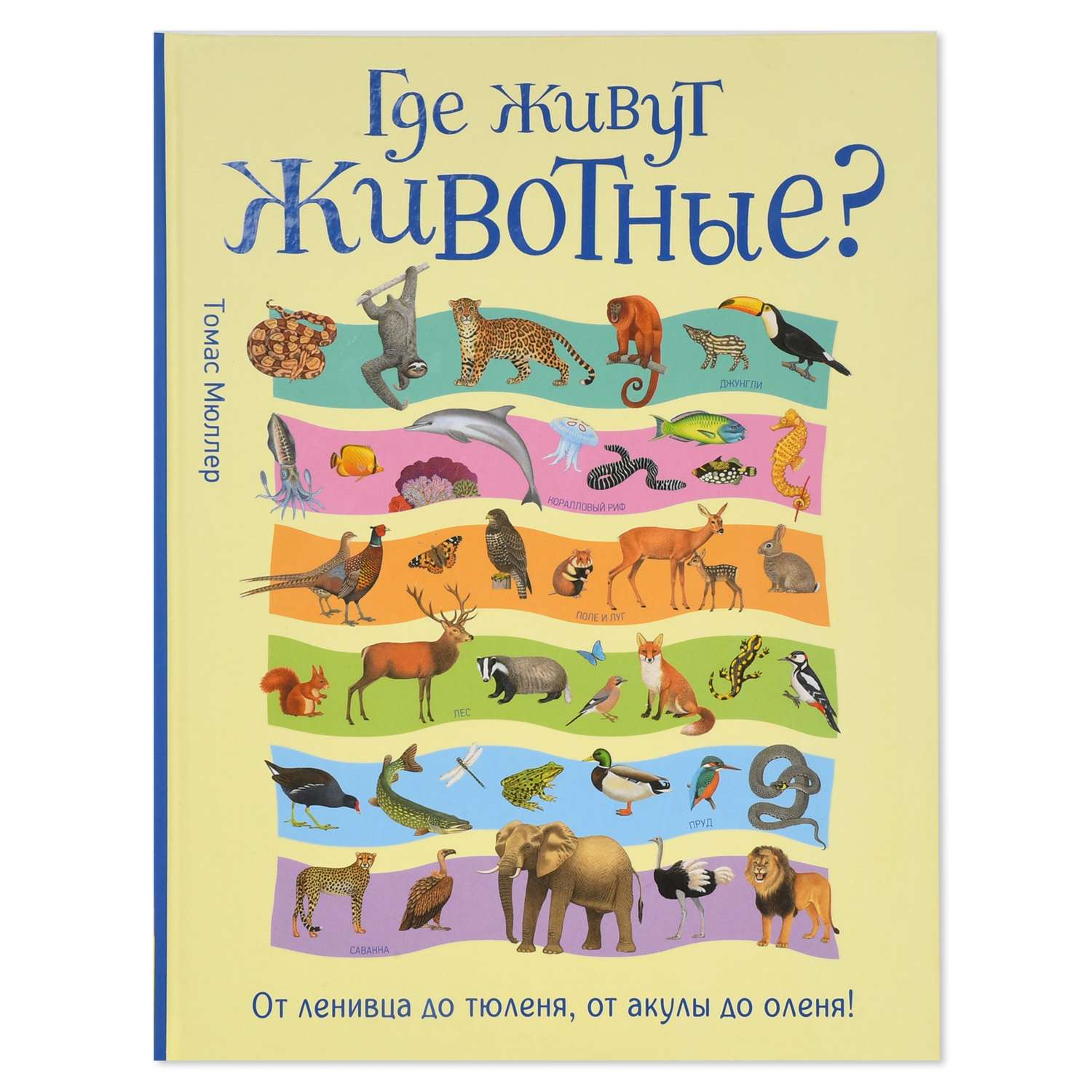 Книга Росмэн Где живут животные? От ленивца до тюленя - фото 1