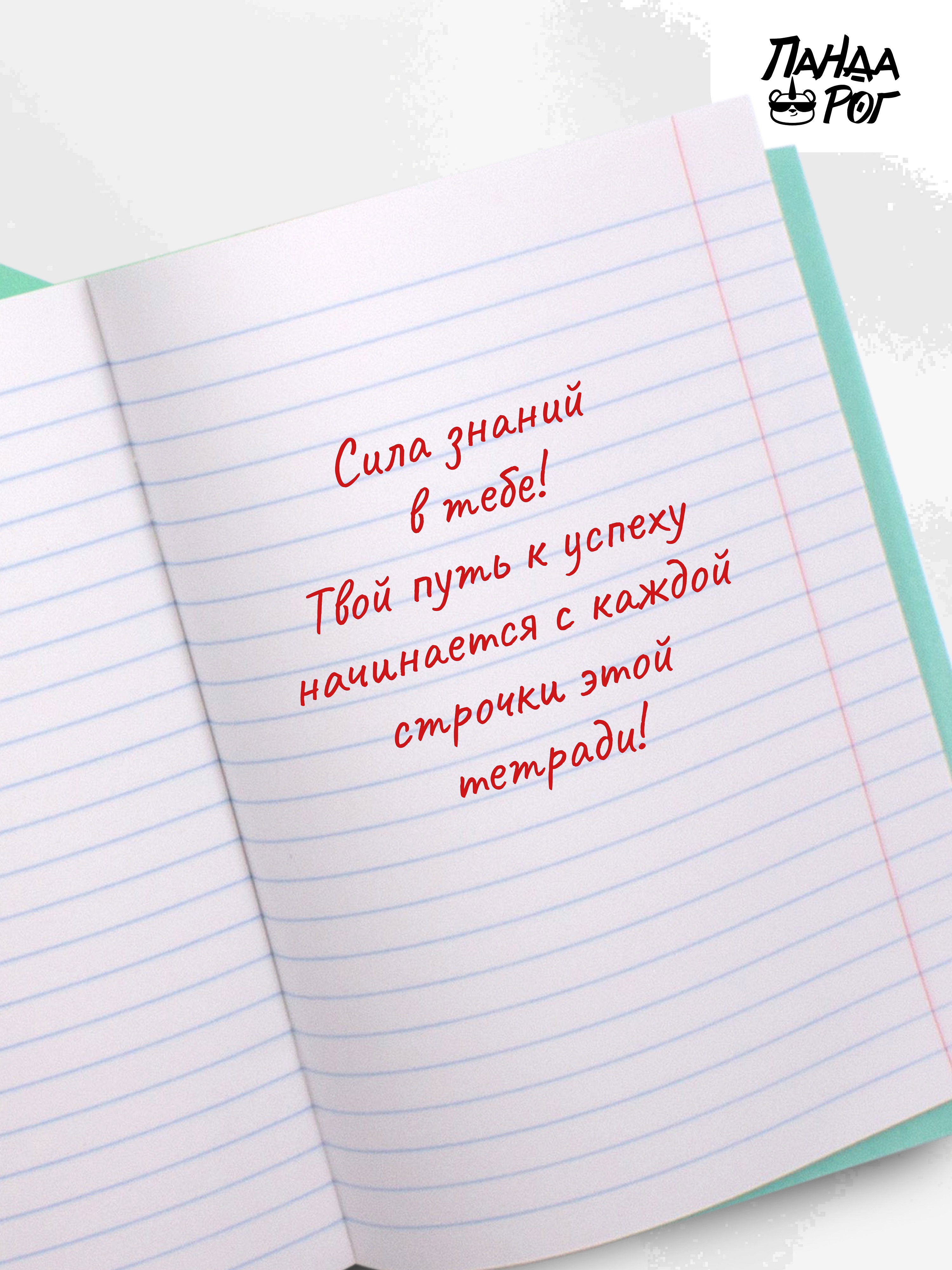 Набор тетрадей школьных ПАНДАРОГ А5 24 листов офсет линейка 10шт - фото 6