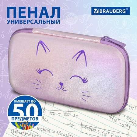 Пенал Brauberg школьный 2 отделения 23х12 см