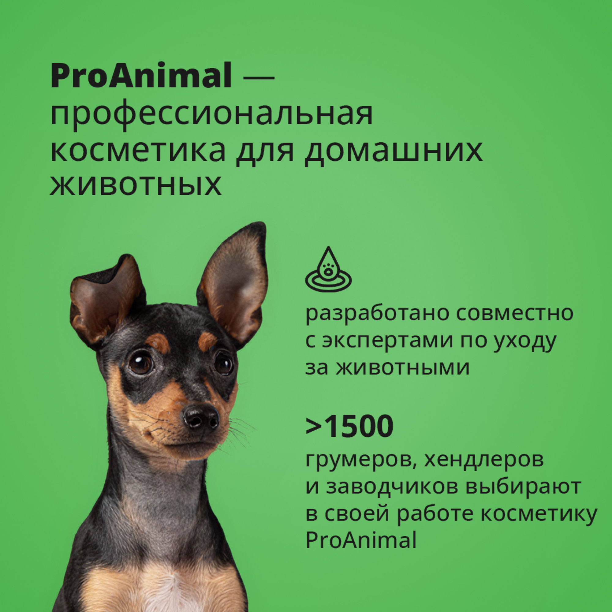 Шампунь с ароматом яблока ProAnimal универсальный домашний увлажняющий для собак - фото 3