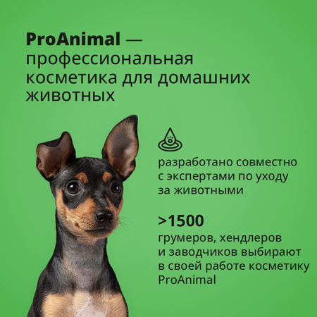 Шампунь с ароматом яблока ProAnimal универсальный домашний увлажняющий для собак