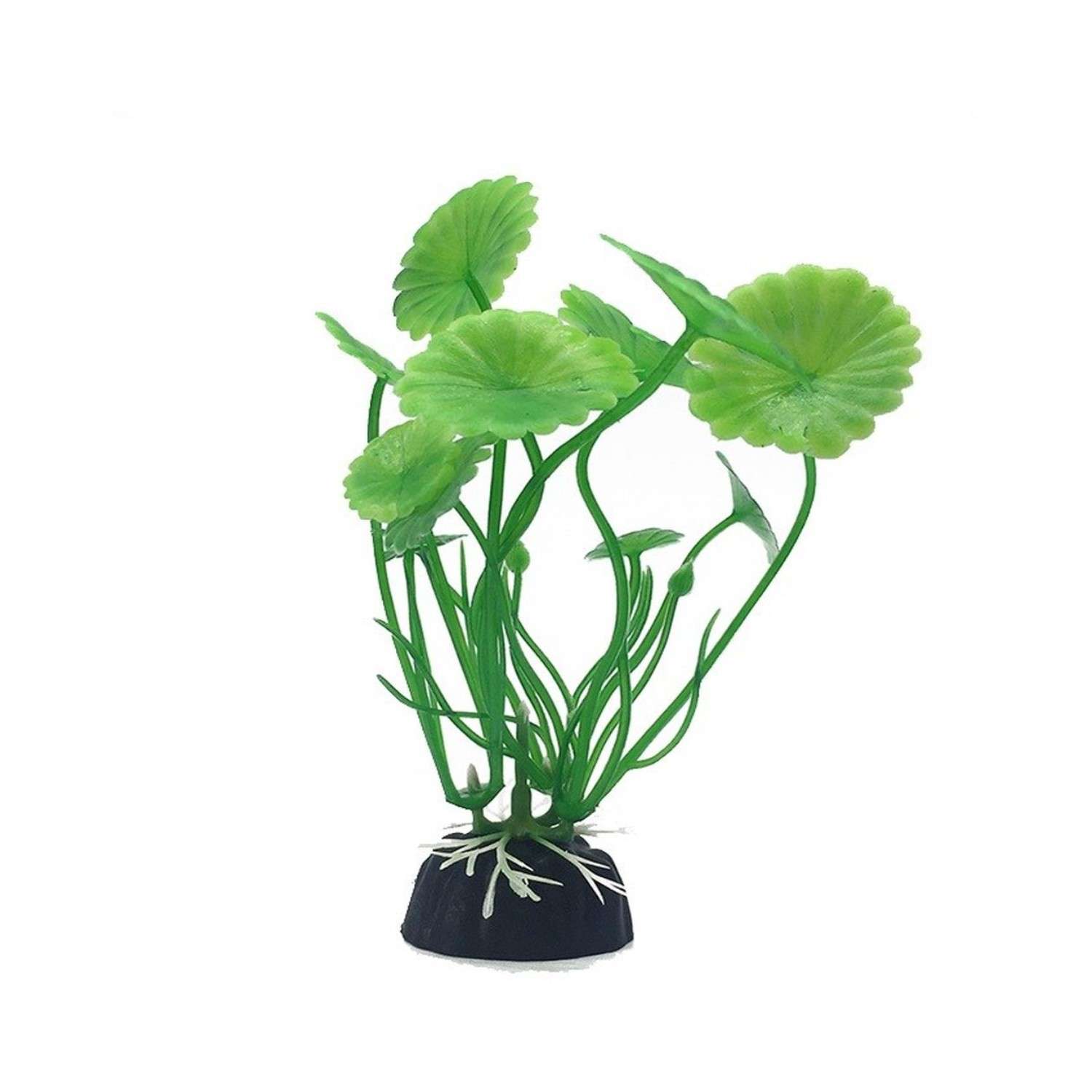 Аквариумное растение Rabizy водоросли 3х10 см - фото 2